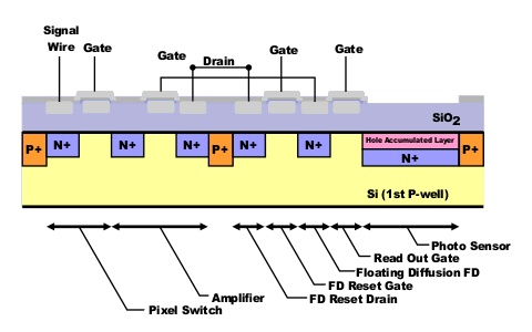 CMOS Cross Section