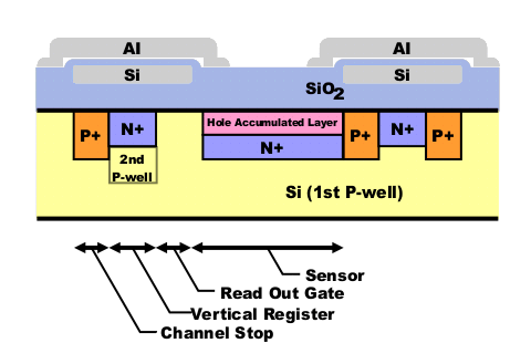 CCD HAD Cross Section