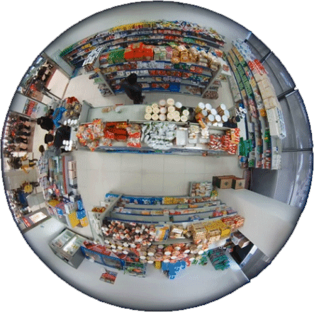 type panorama fisheye1