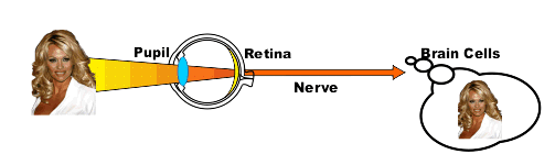 Persoonsgegevens 1